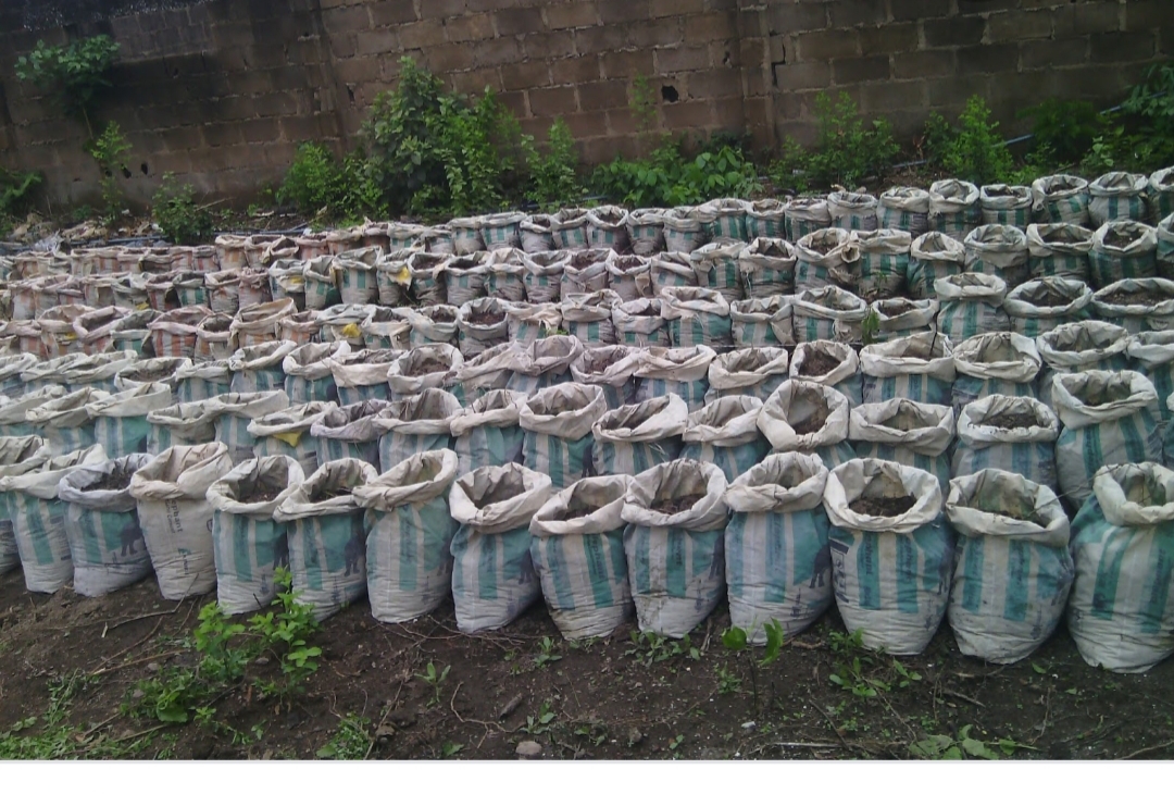 Sack Farming: Sustainable Agriculture for Urban and Rural Communities